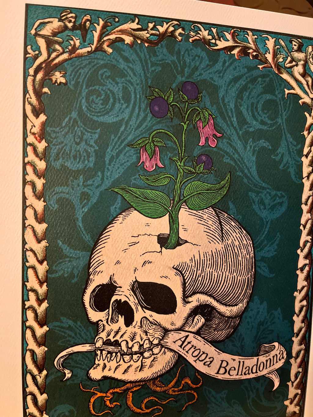 Atropa Belladonna art print