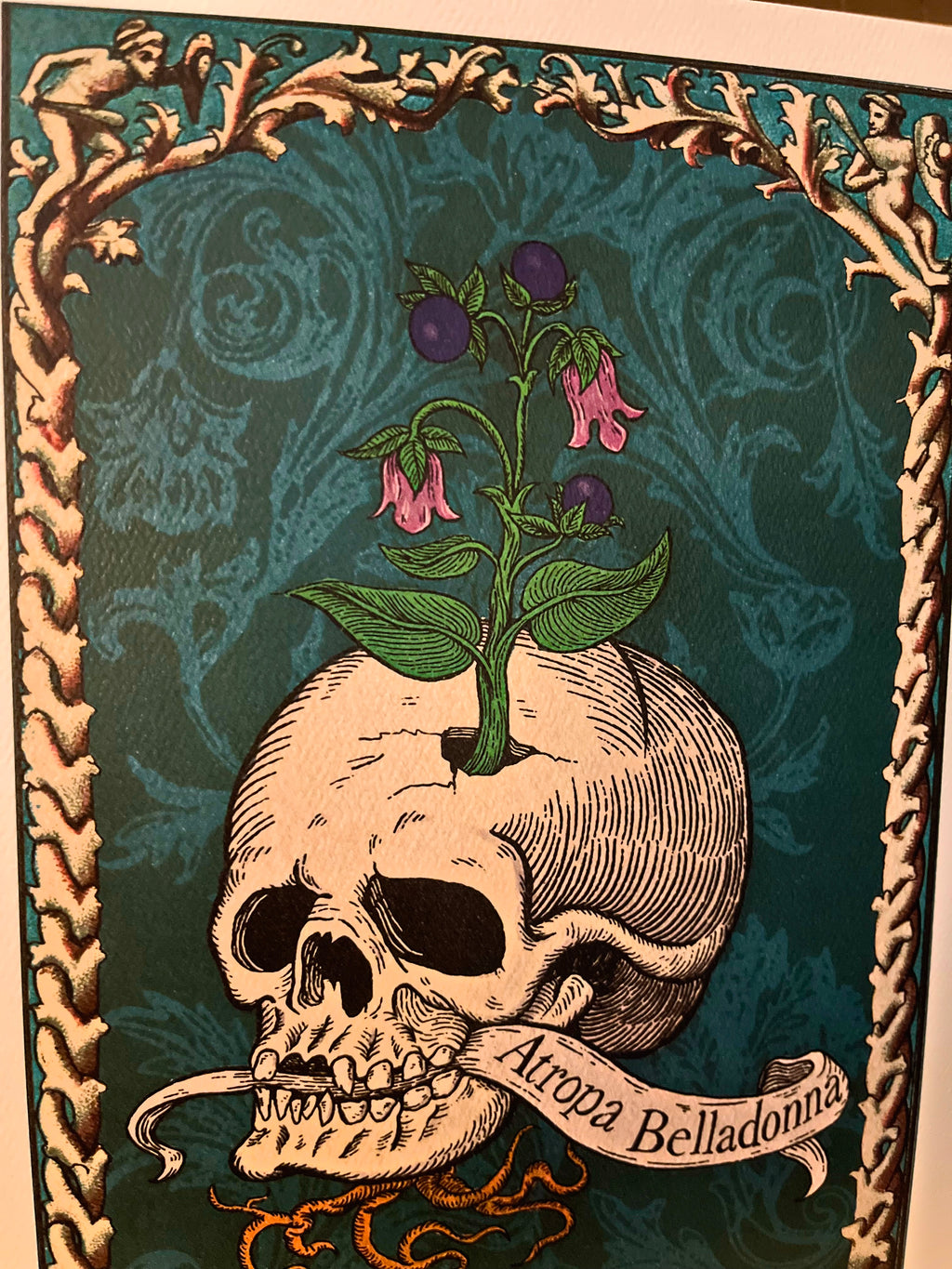 Atropa Belladonna art print