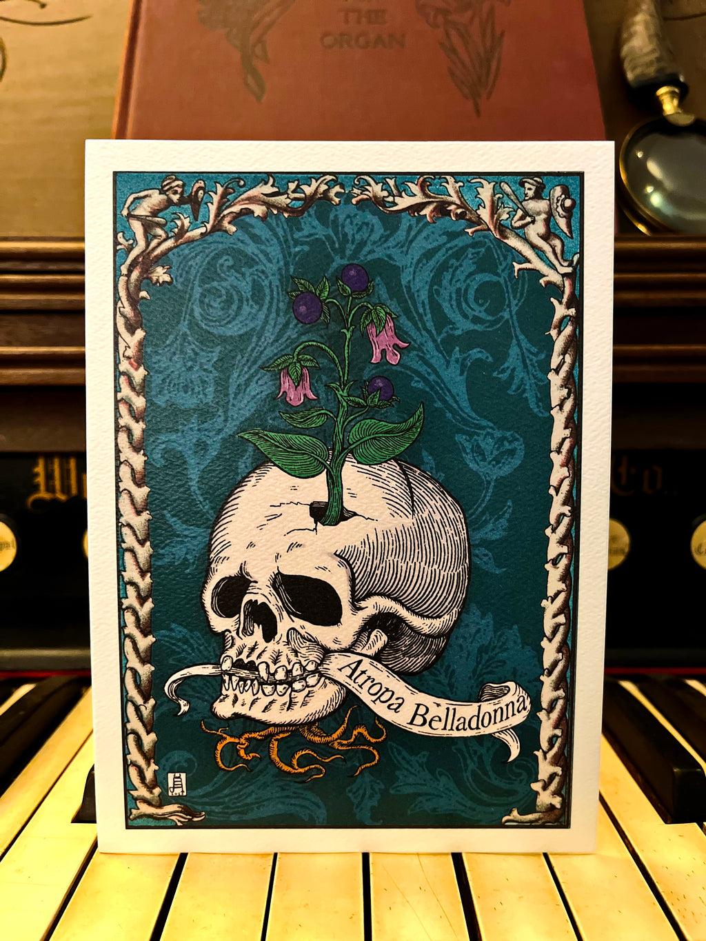 Atropa Belladonna art print