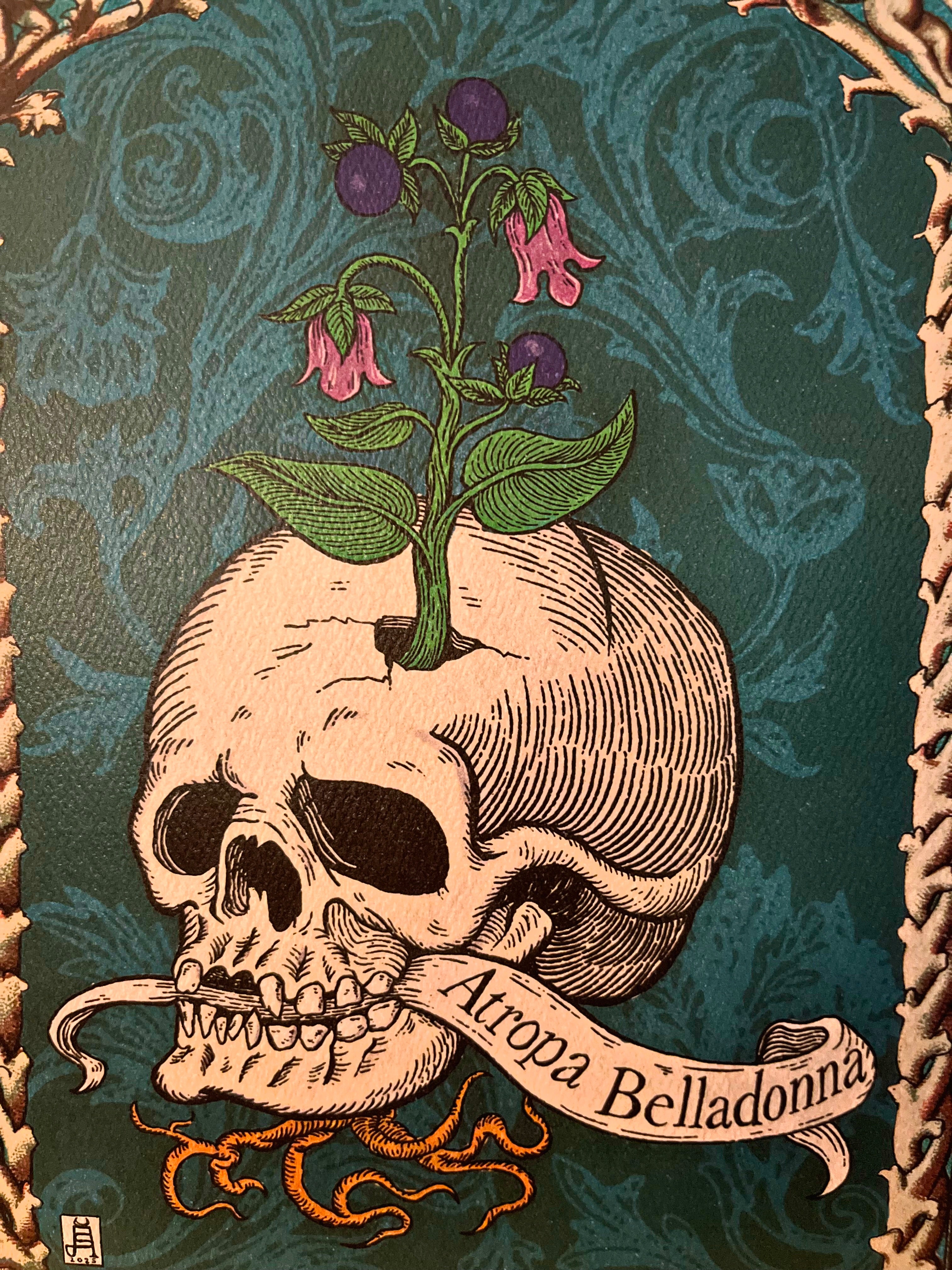 Atropa Belladonna art print