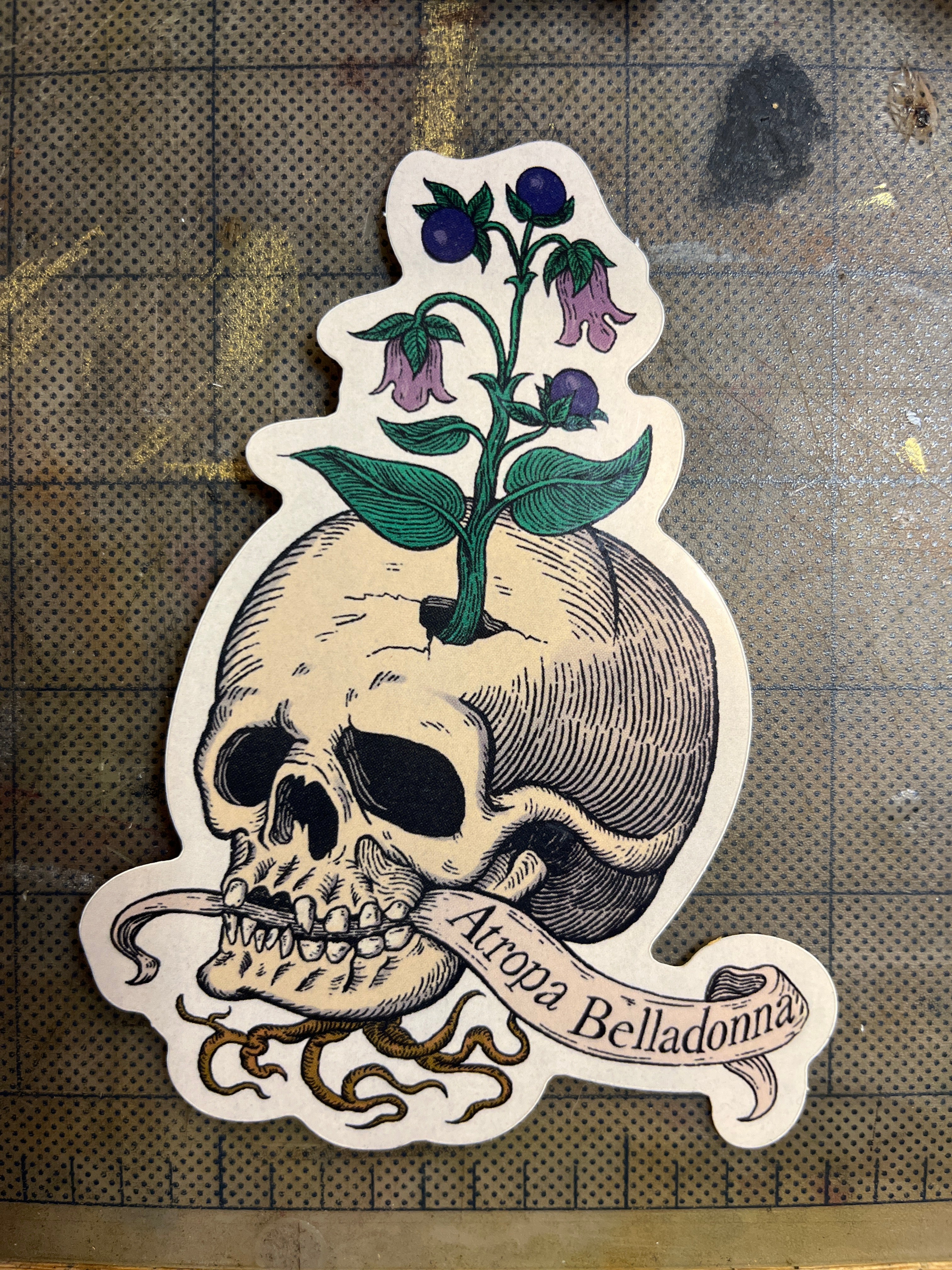 ATROPA BELLADONNA STICKER