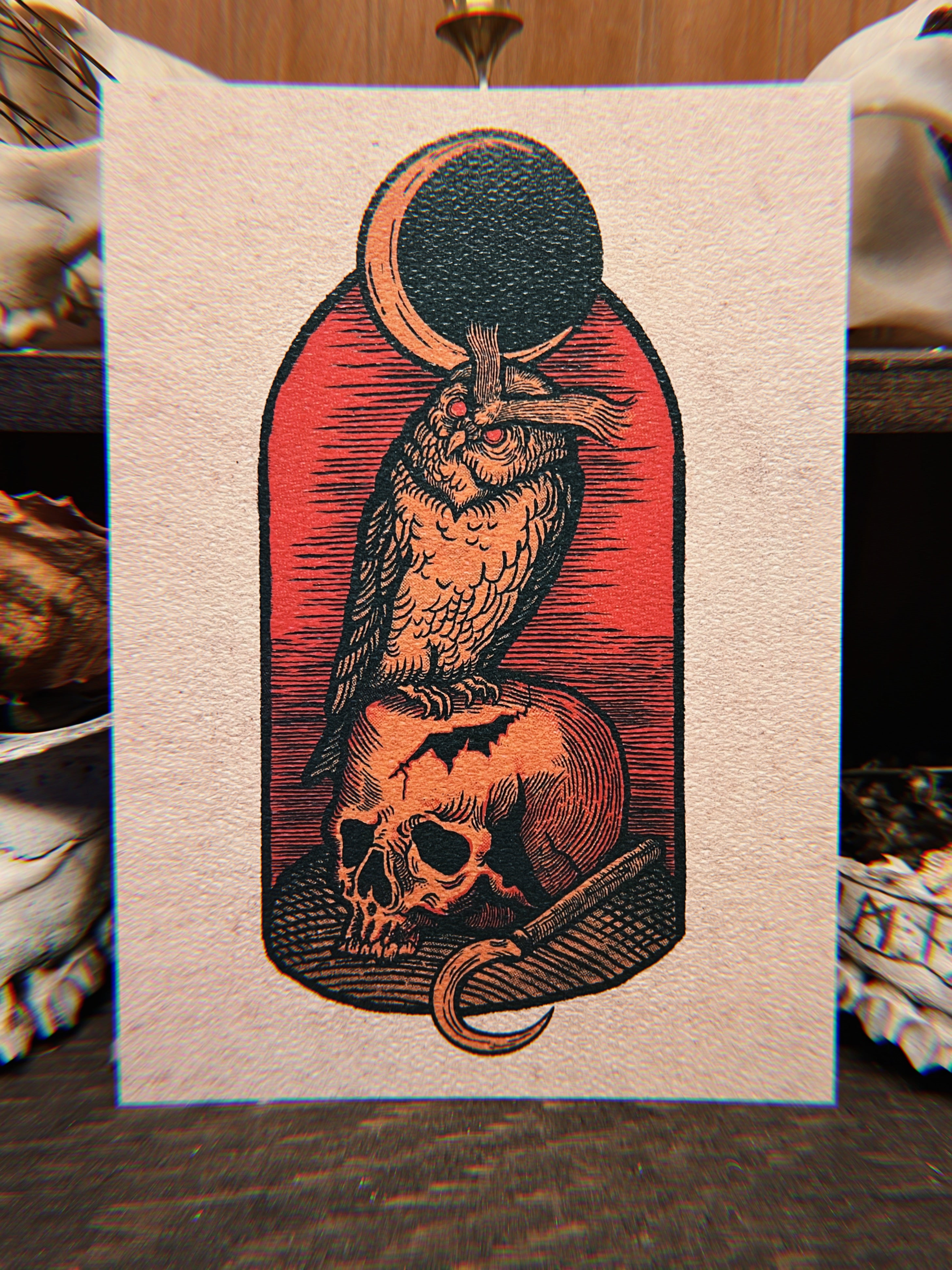 OWL ON SKULL art print
